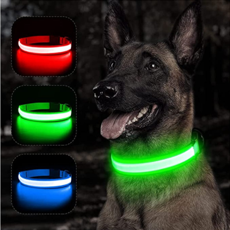 Glow in the dark Dog Collar